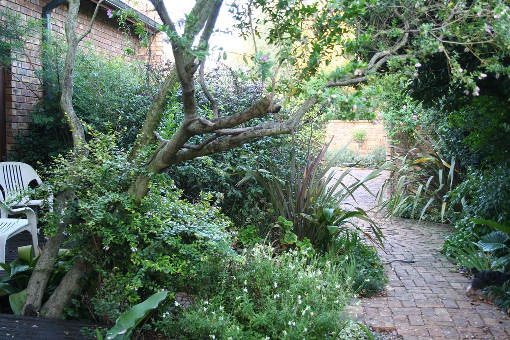 Aero Lodge Guest House Middelburg (Mpumalanga) Exterior foto